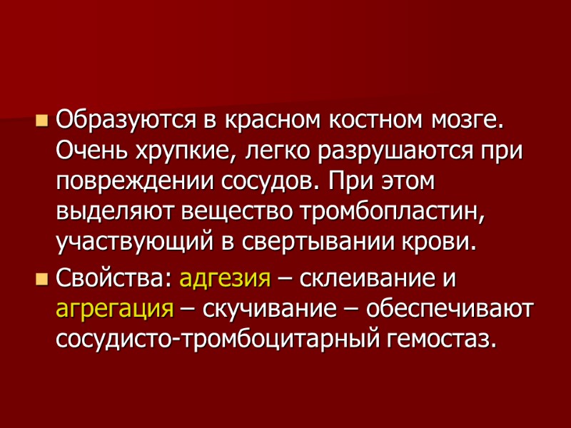 Образуются в красном костном мозге. Очень хрупкие, легко разрушаются при повреждении сосудов. При этом